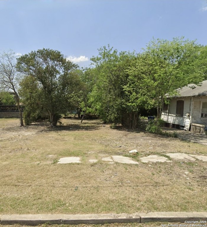 Picture 5