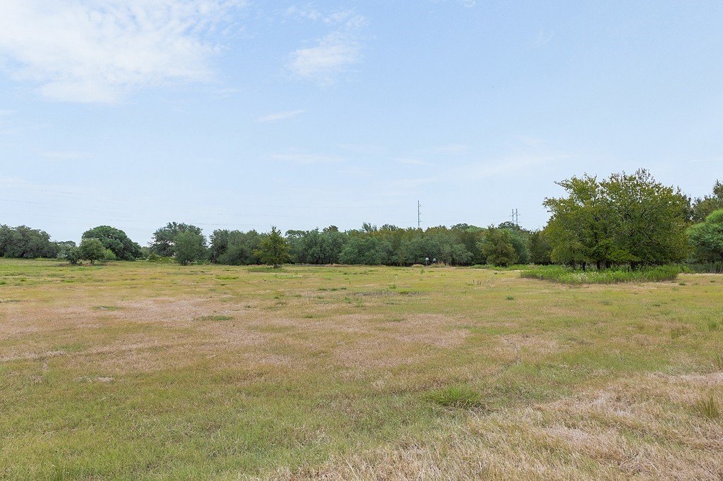 Picture 8