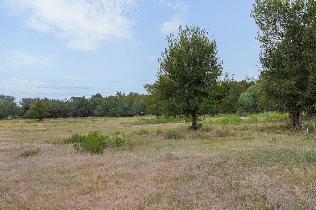 Picture 12