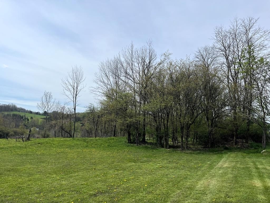 Residential Land Near Downtown Wellsboro