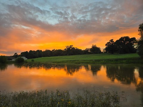 Land, Athens, TX