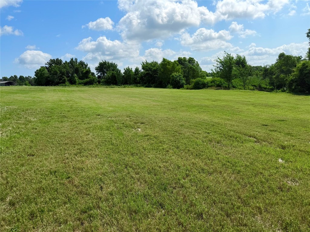 Picture 13