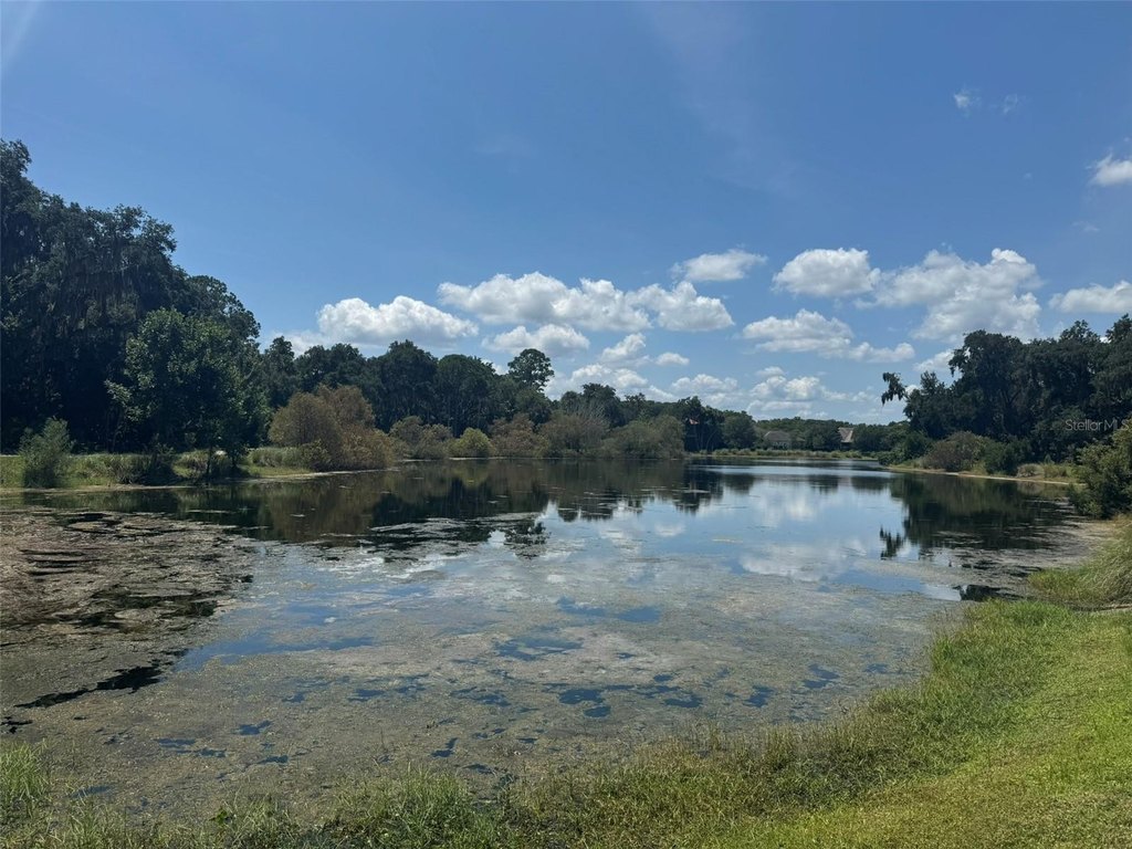 Picture 26