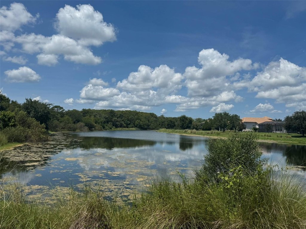Picture 24