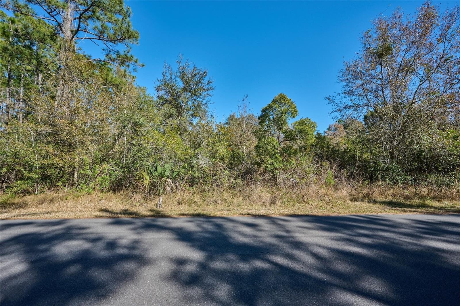 Waterfront Land in Indian Lake Estates