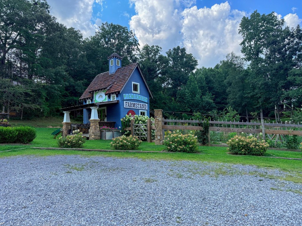 Picture 20