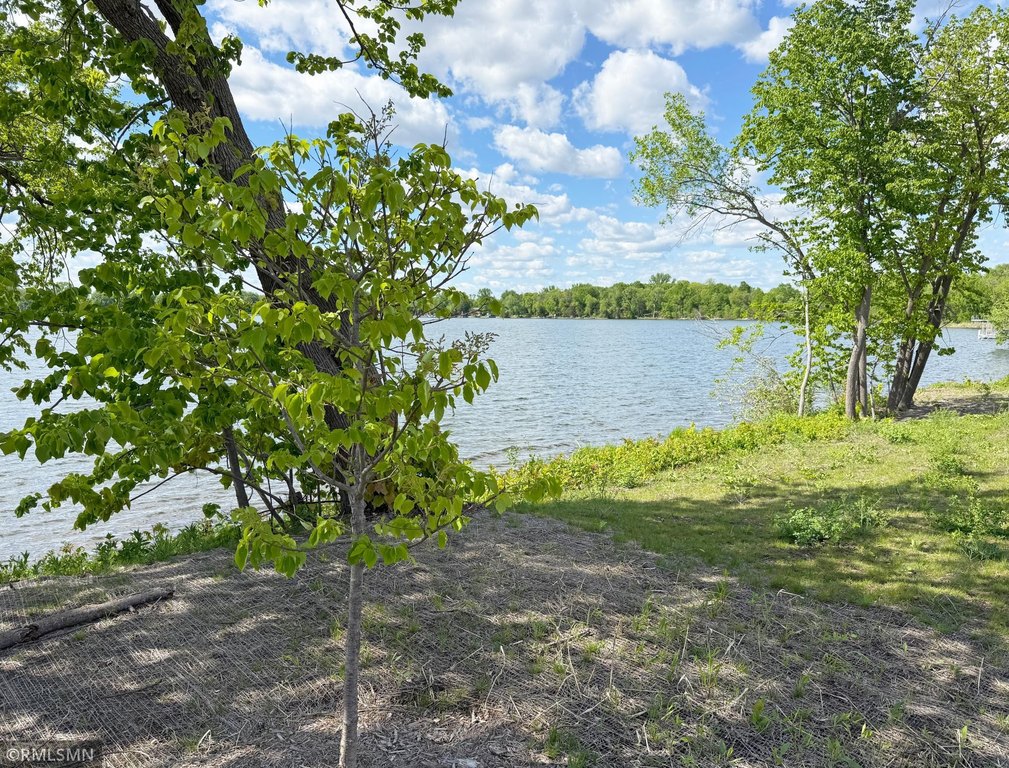 Picture 21