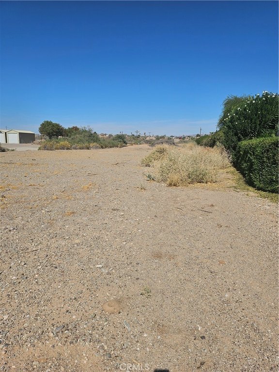Picture 5
