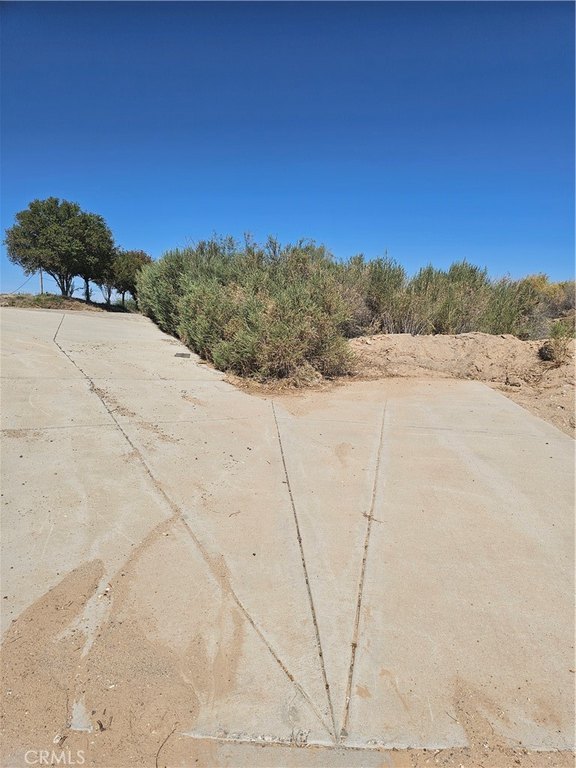 Picture 8