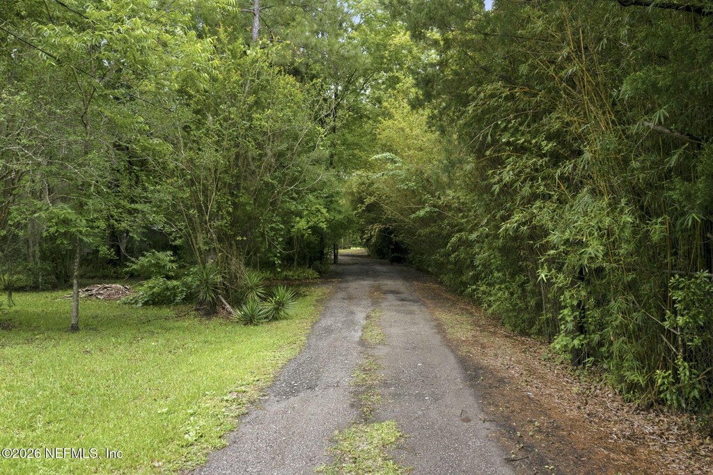 Picture 23