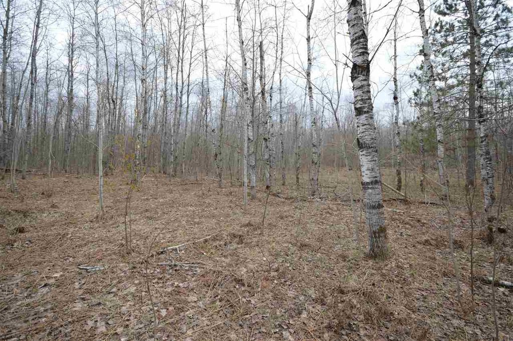 Picture 19