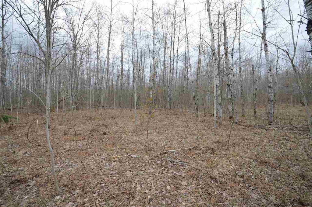 Picture 18