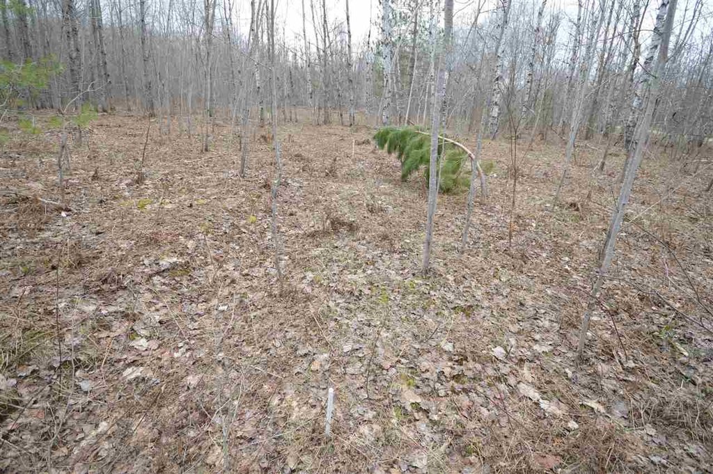 Picture 38