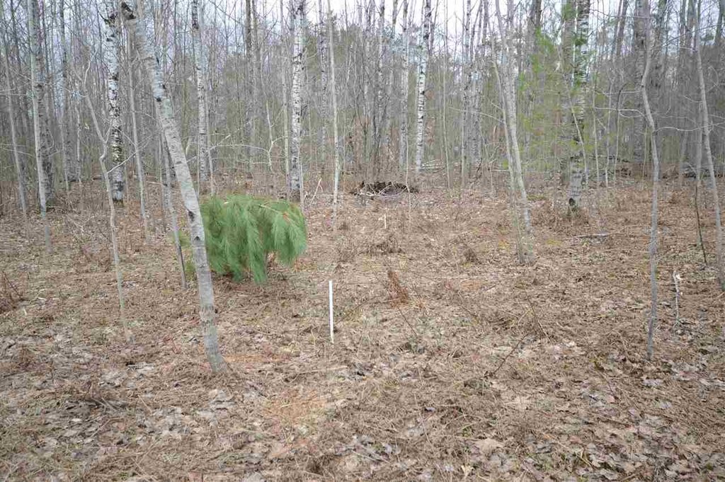 Picture 24