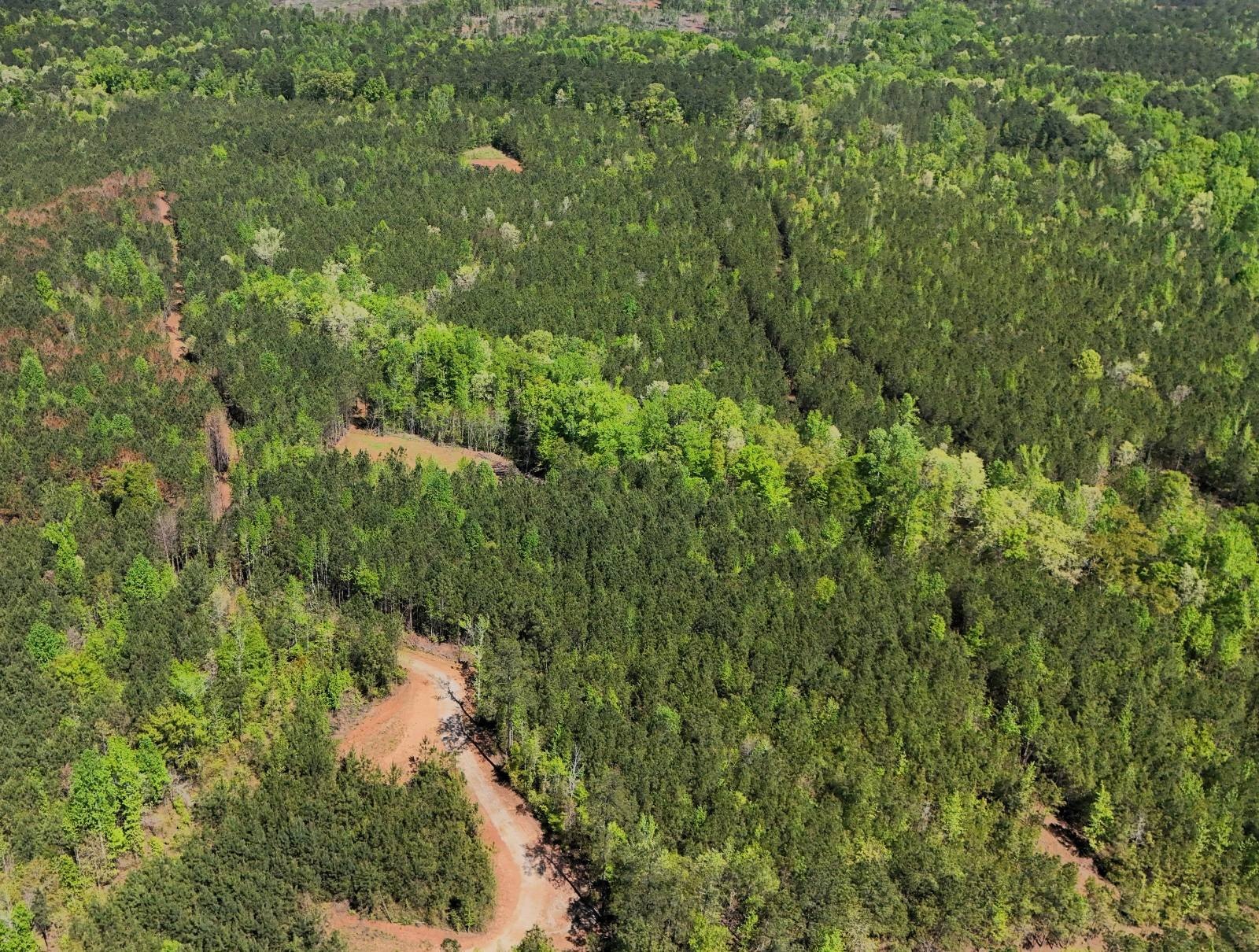 28 Acres of Vacant Land