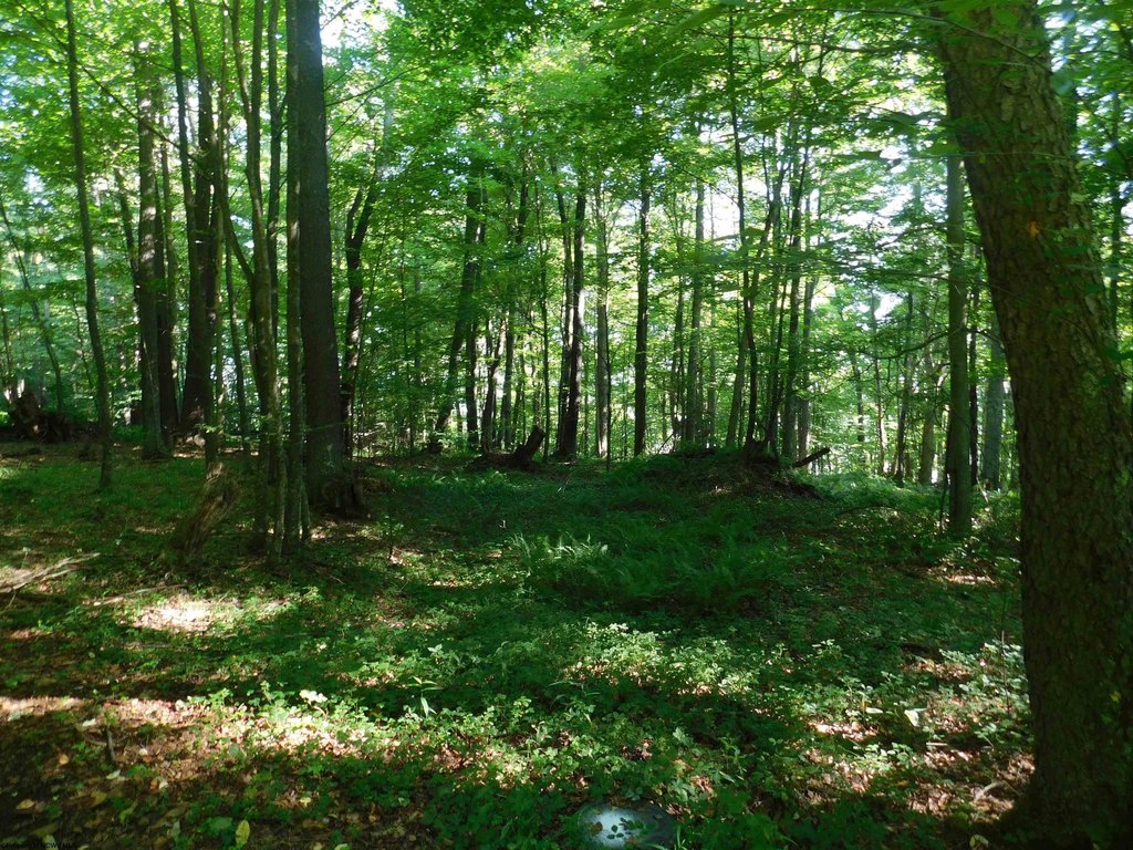 Picture 7
