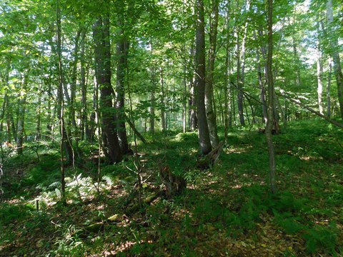 Residential Land in Terra Alta