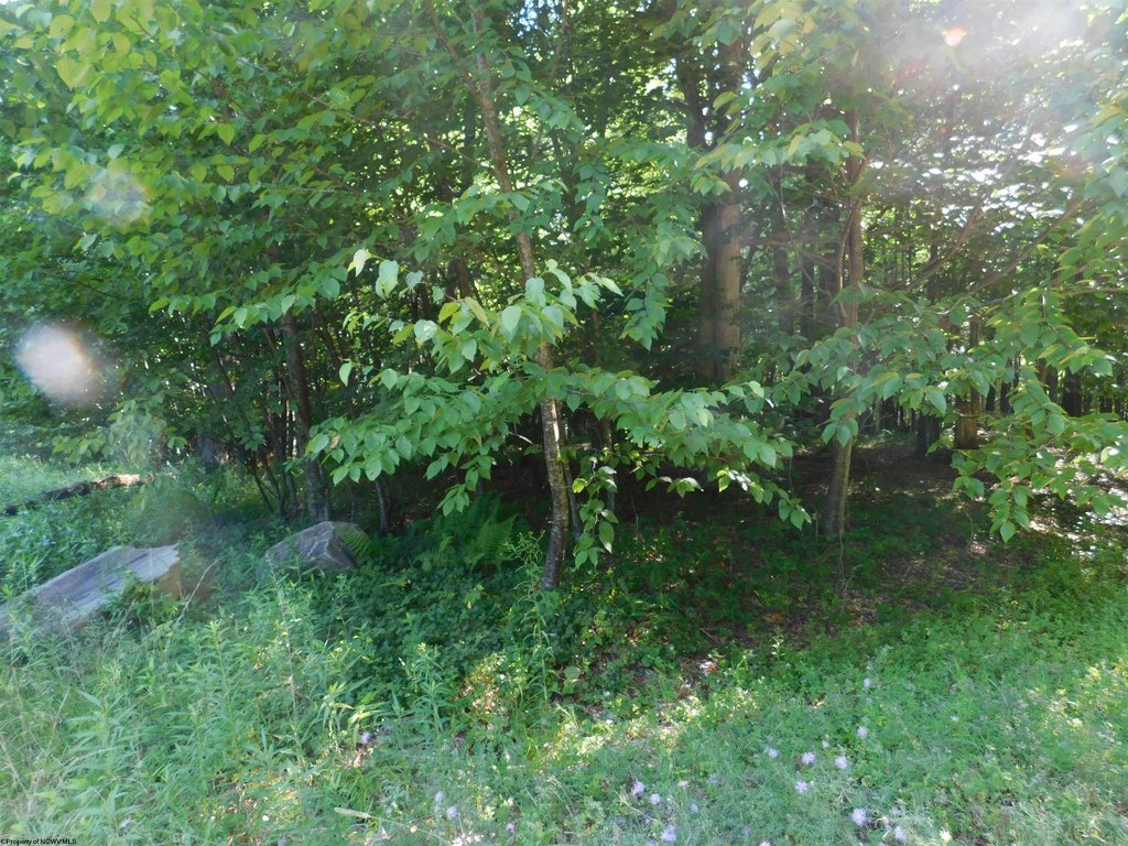 Picture 12