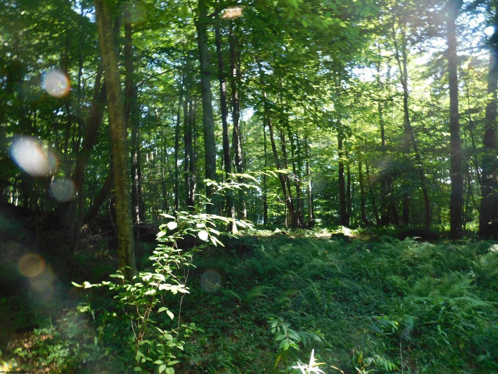 Picture 5