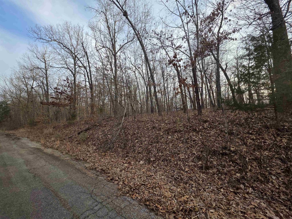 Picture 9