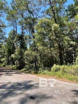 Undeveloped Lot in Mobile, AL