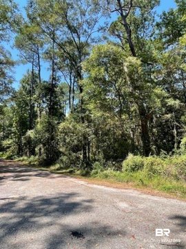 Undeveloped Lot in Mobile, AL