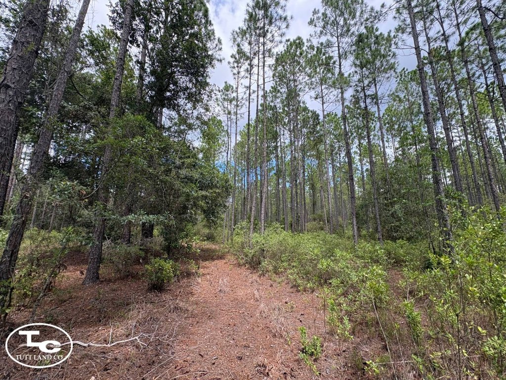 Picture 29