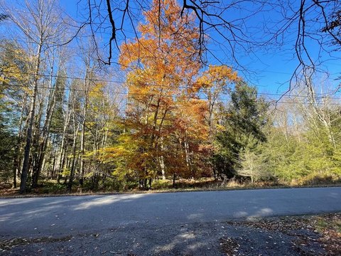 Lots/Land, Central City, PA