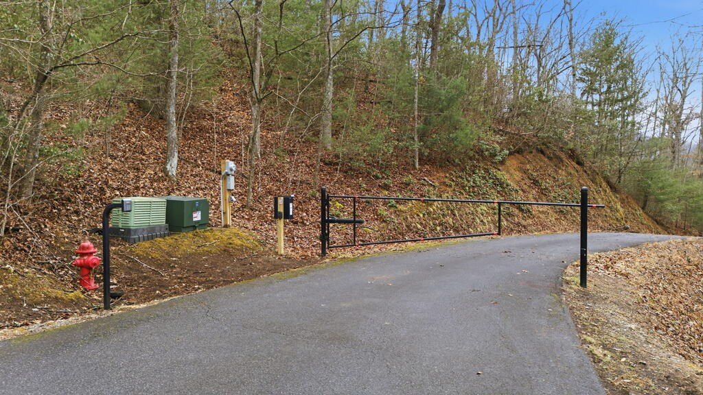 Picture 19