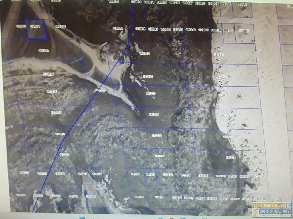 Picture 2