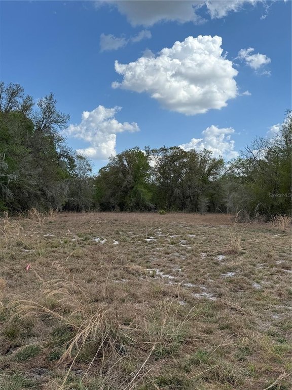 Picture 19