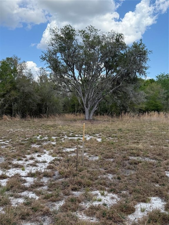 Picture 18