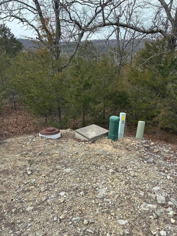 Picture 3