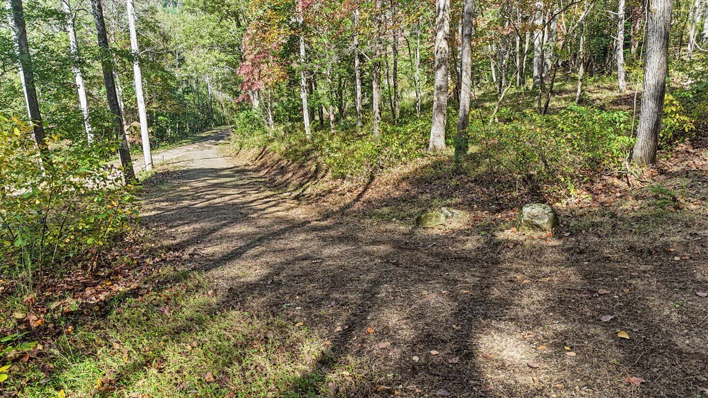 Picture 34
