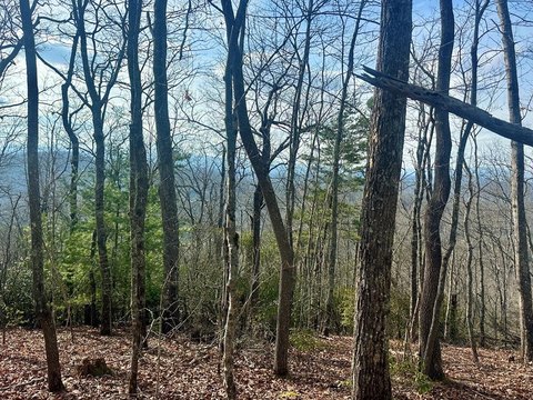 Vacant Lot, Blue Ridge, GA
