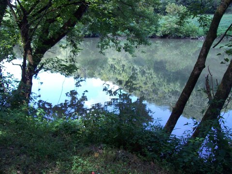 Land with Clinch River Frontage