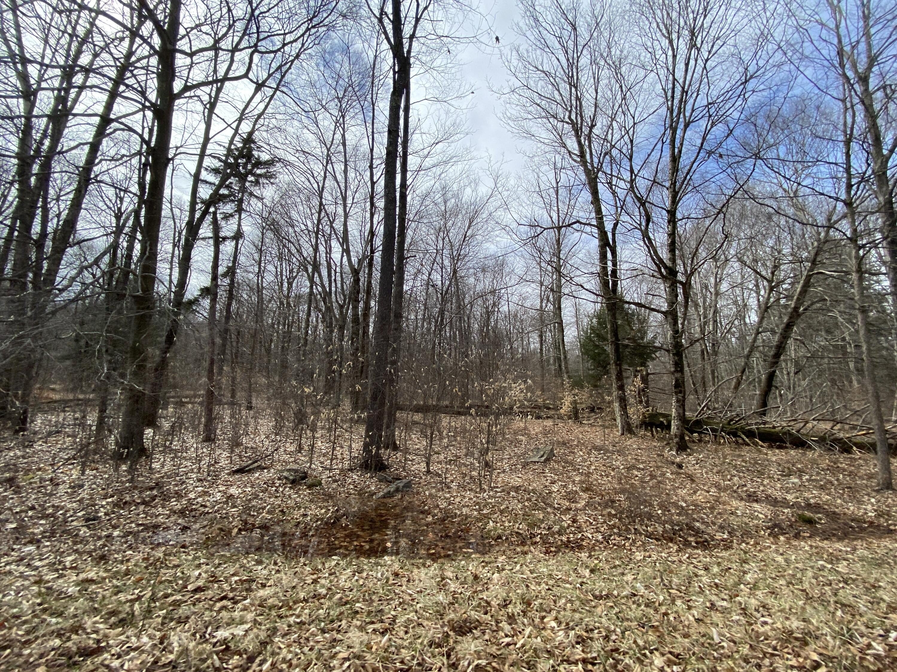 Pocono Lake Land For Sale