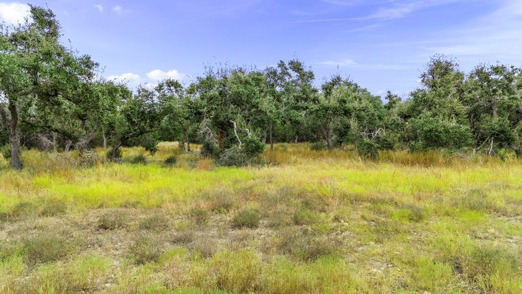 Picture 25
