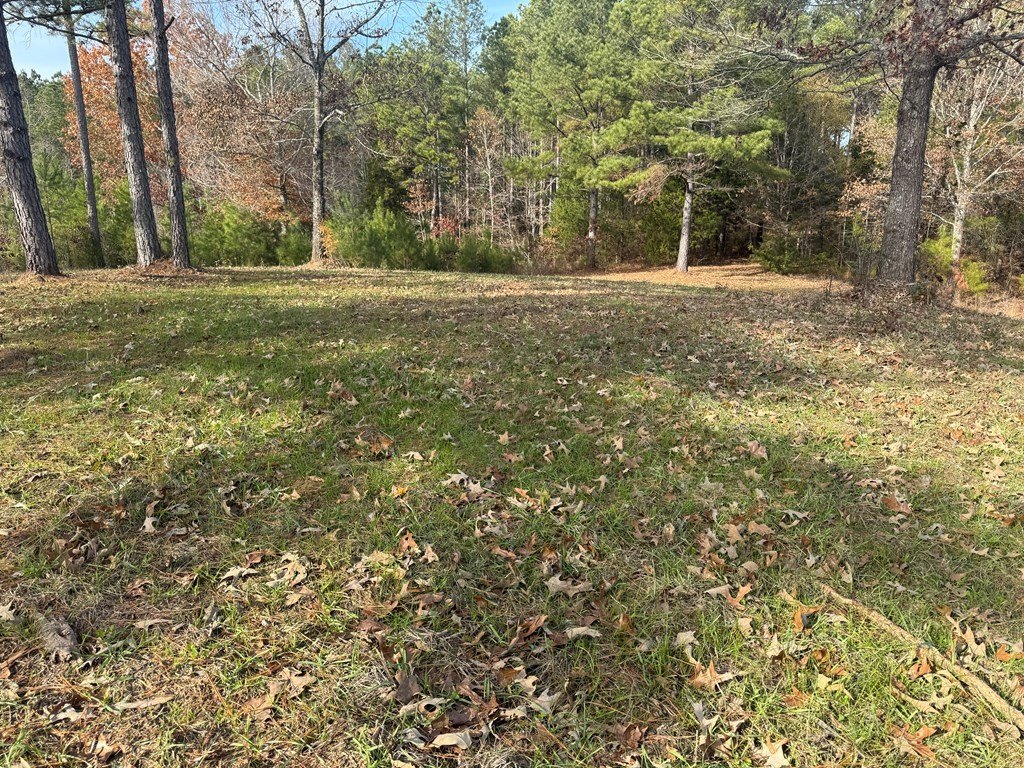 Picture 16