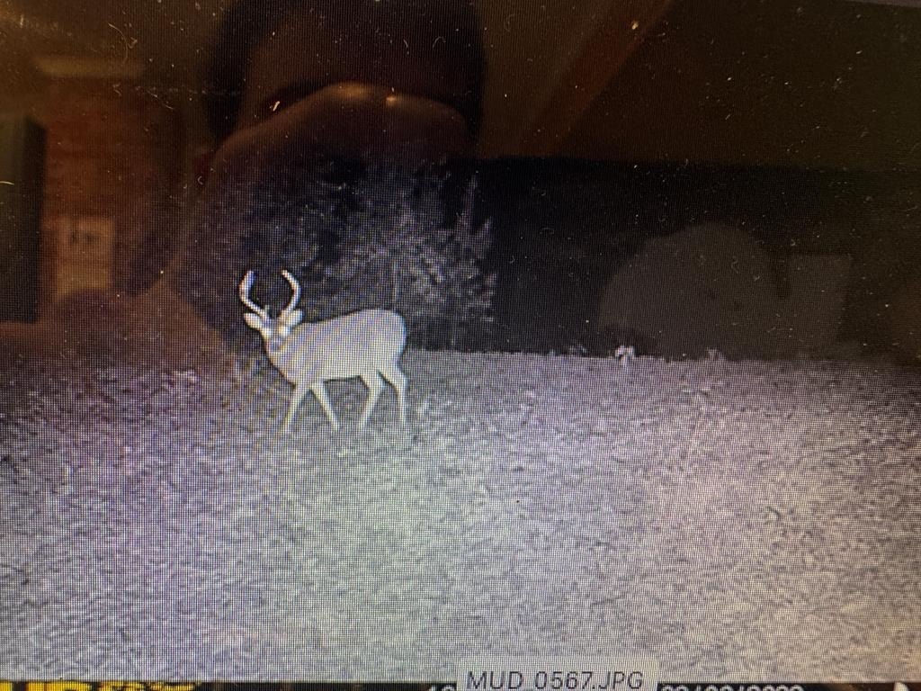 Picture 30