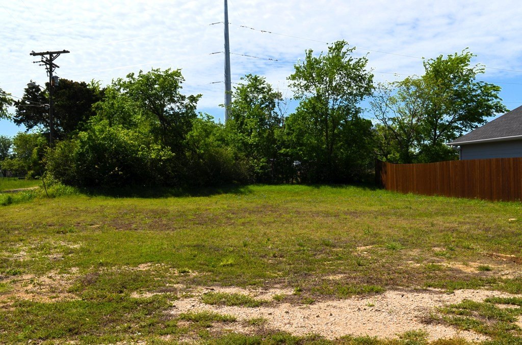 Picture 4