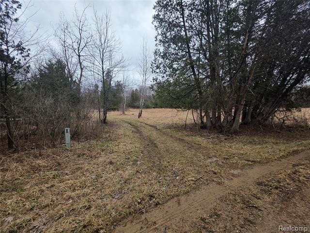 Recreational Land with Cedar Creek