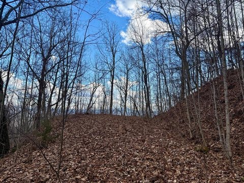 Franklin, NC Homesite with Views