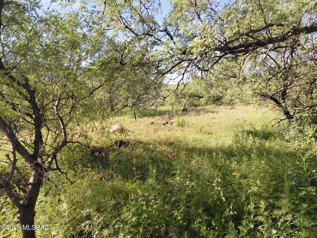 Picture 6