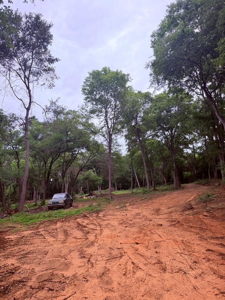 Wooded Lot in Palestine, TX