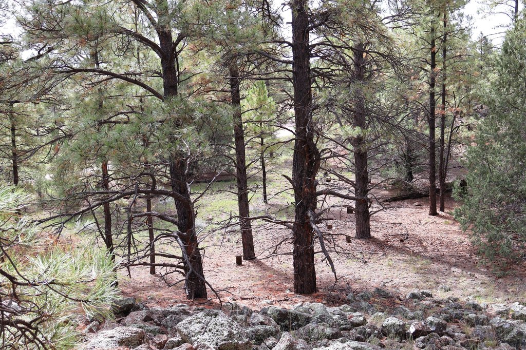 Picture 19