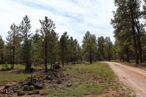 Land, Grants, NM