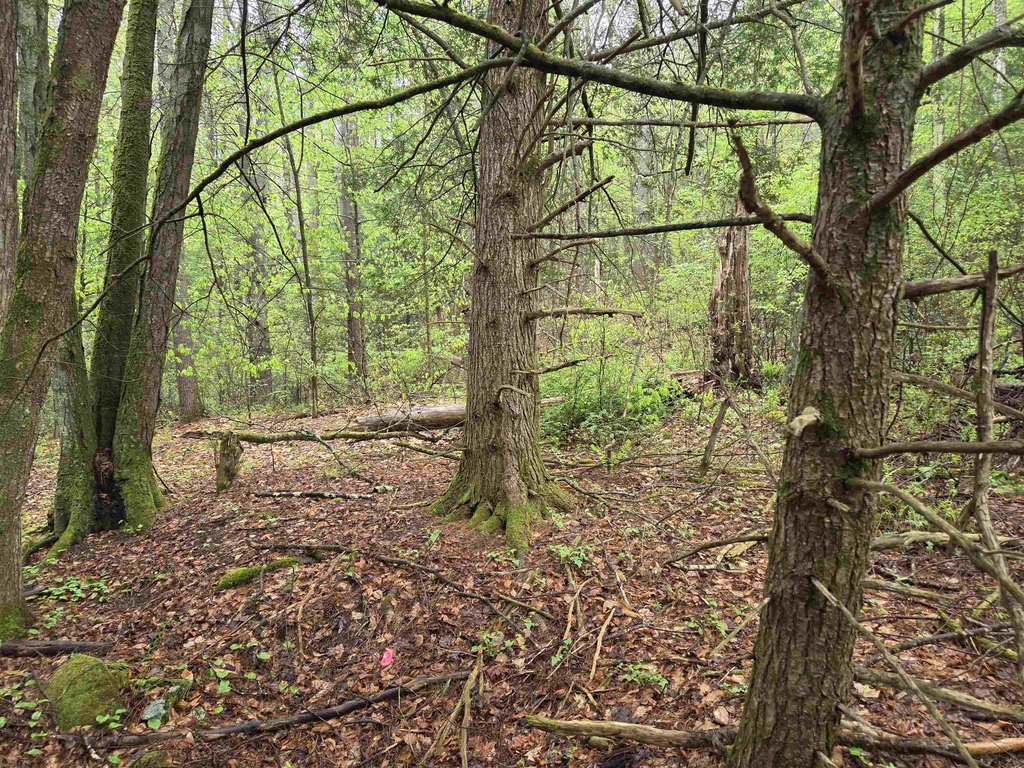 Picture 28