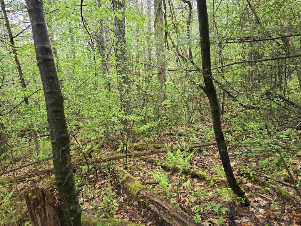Picture 18