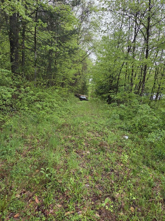 Picture 6